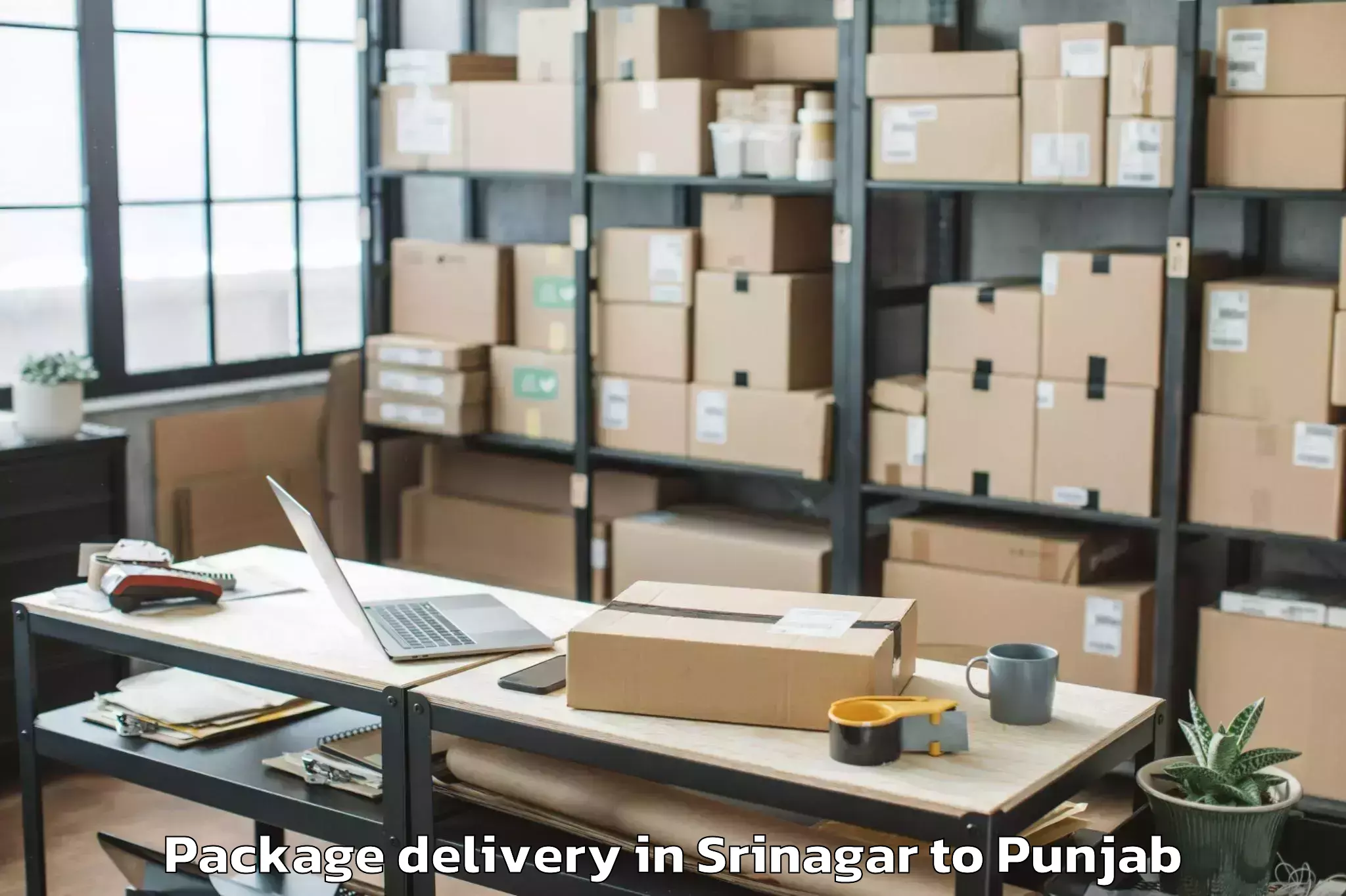 Srinagar to Adampur Jalandhar Package Delivery Booking